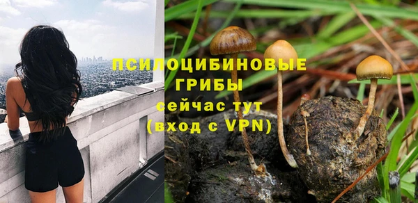 ГАЛЛЮЦИНОГЕННЫЕ ГРИБЫ Алексеевка