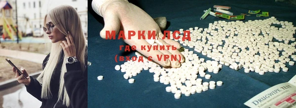 Альфа ПВП Медвежьегорск