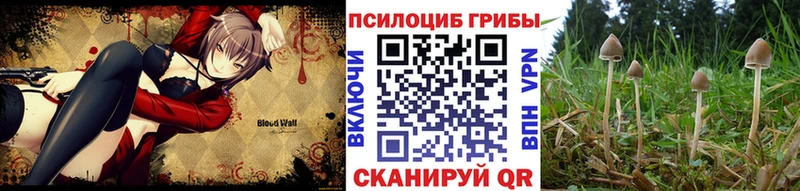 как найти закладки  Хадыженск  Галлюциногенные грибы Cubensis 